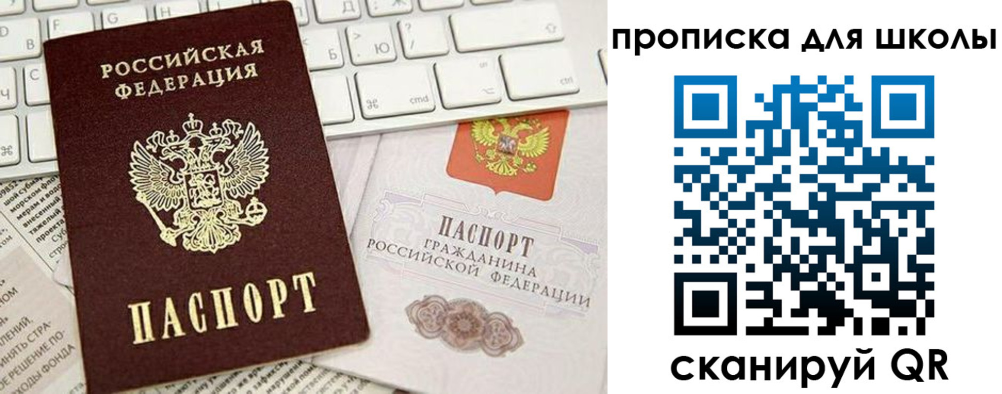 прописка иностранных граждан в Светлогорске