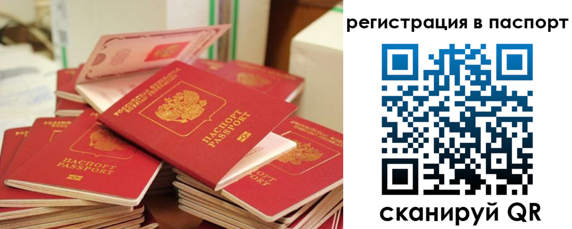 временная регистрация купить в Светлогорске